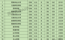 云南最差的二本大学名单(云南的二本院校排名)