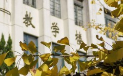 上海专科学校(上海十大最好的职业学校)